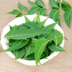 JointVive Ingredients